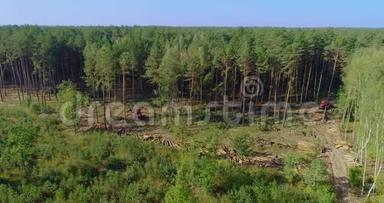 砍伐森林，红林收割机.